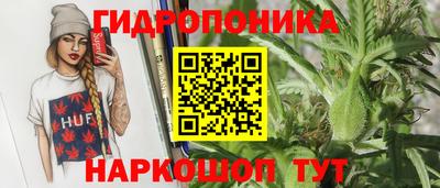 сатива Аргун