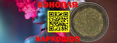 сатива Аргун