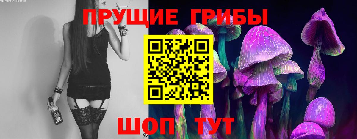 Псилоцибиновые грибы Cubensis Астрахань